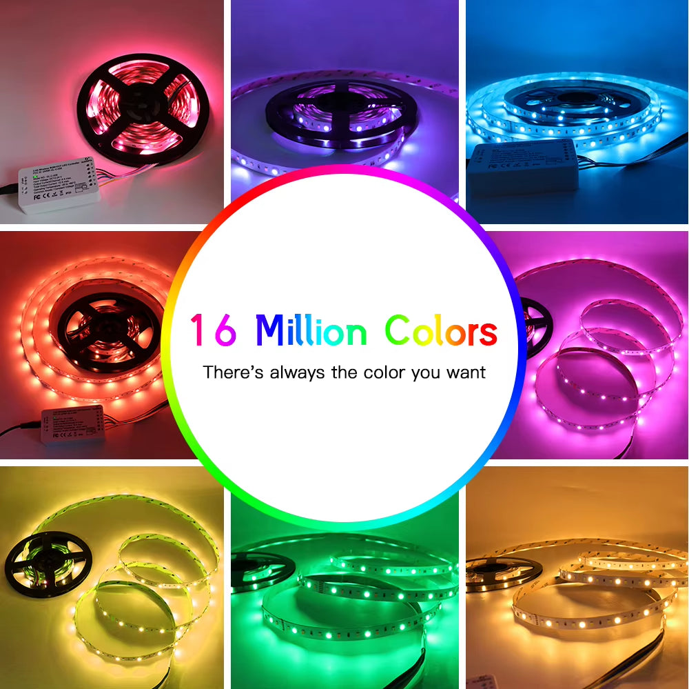 RGB+CCT LED Strip Light RGB WW/CW DC24V 5 Meters IP65 Waterproof IP20 Not Waterproof RGB Light SMD 5050 SMD 2835