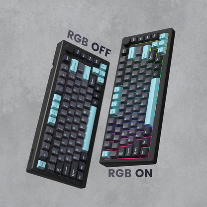 Double Shot PBT Keycaps Set, Custom Keyboard Keycaps,189 Key Full Set,Isa Profile Keycaps for 60% 65% 70% 100% MX Switches Mechanical Keyboard(Grey/Dark Blue,Only Keycaps)