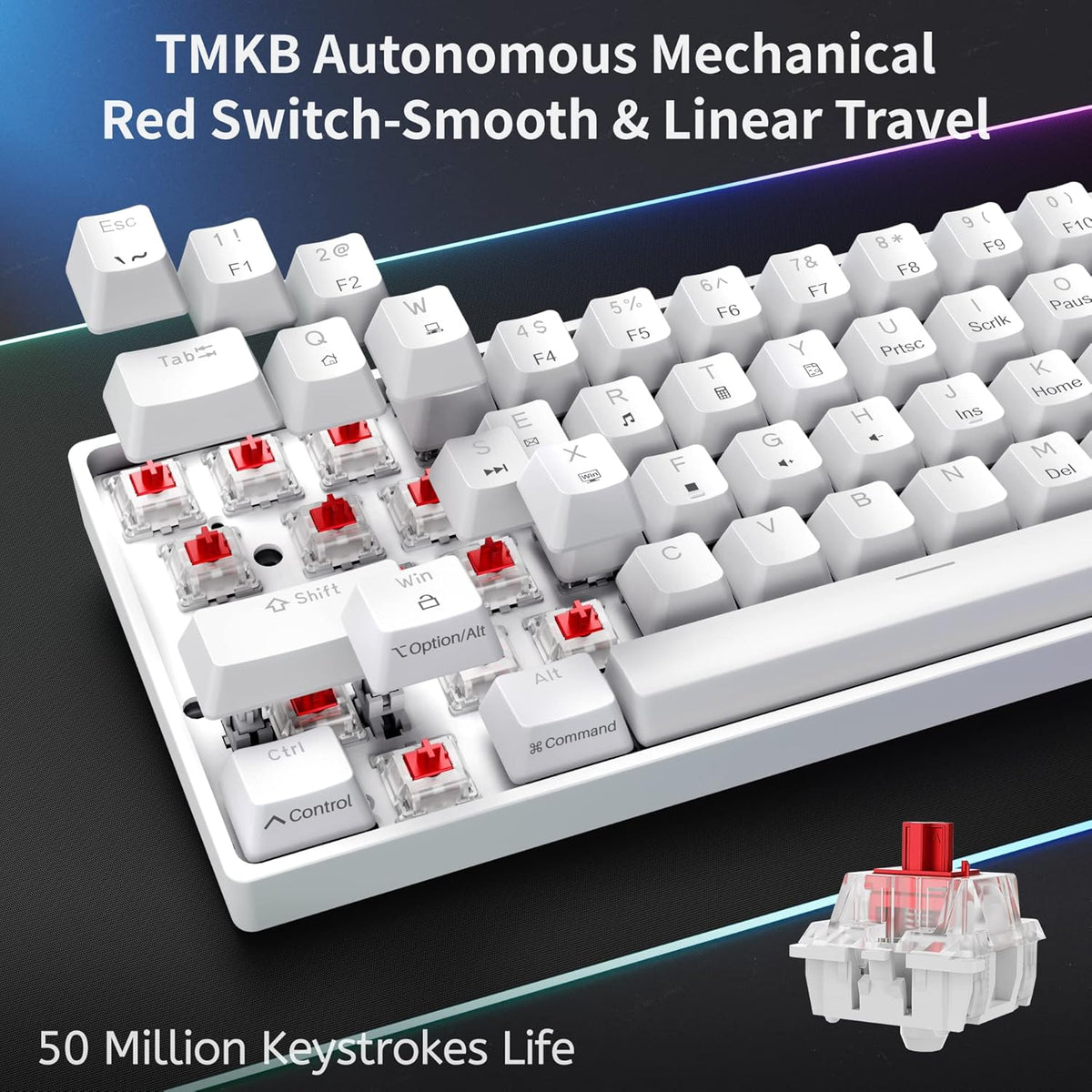 DK61SE 60% Gaming Keyboard, Wired, US QWERTY, Red Switches, White