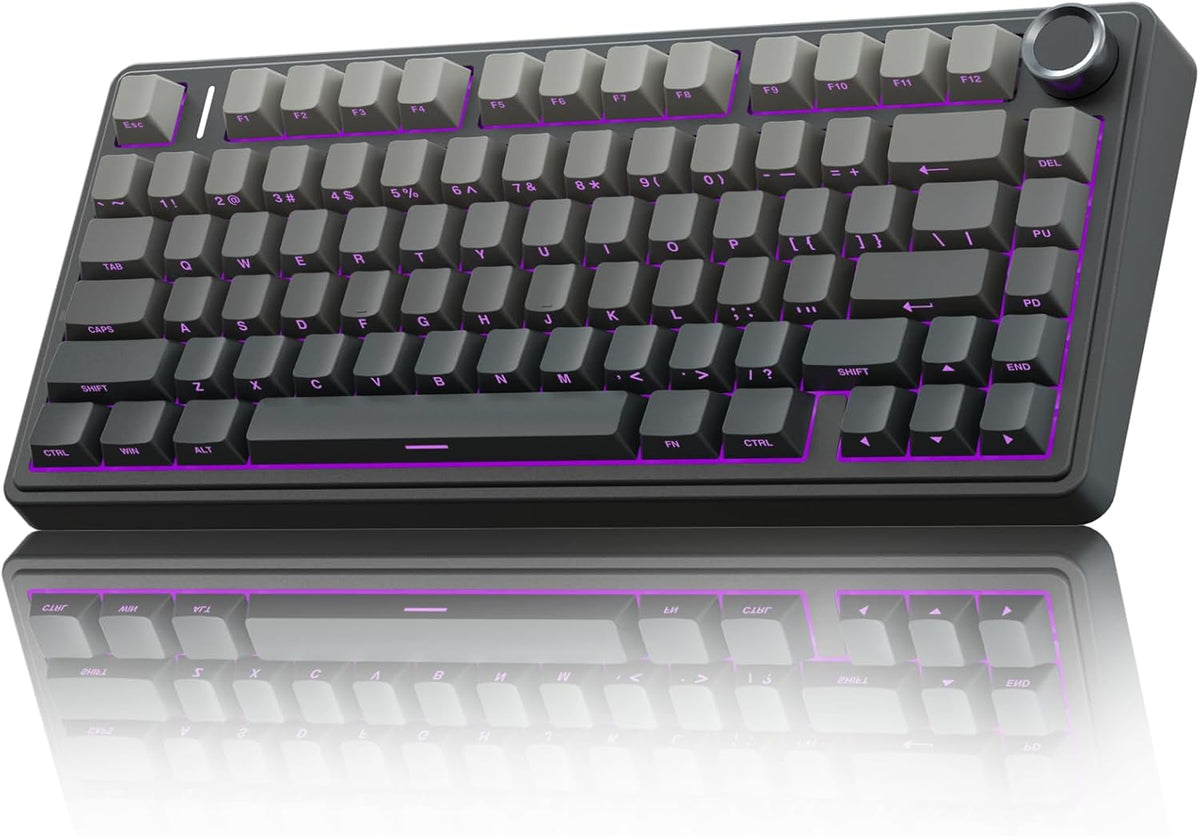 F75 75% Wireless Mechanical Keyboard,2.4Ghz/Type-C/Bt5.0 Gaming Keyboards,Advanced Structure,Rgb Backlight,Hot Swappable Custom Keyboard for Pc/Mac (Blue&Purple)