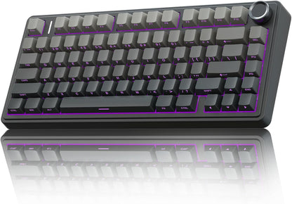 F75 75% Wireless Mechanical Keyboard,2.4Ghz/Type-C/Bt5.0 Gaming Keyboards,Advanced Structure,Rgb Backlight,Hot Swappable Custom Keyboard for Pc/Mac (Blue&Purple)