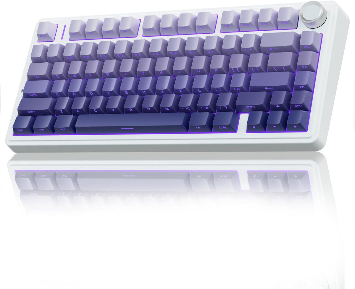 F75 75% Wireless Mechanical Keyboard,2.4Ghz/Type-C/Bt5.0 Gaming Keyboards,Advanced Structure,Rgb Backlight,Hot Swappable Custom Keyboard for Pc/Mac (Blue&Purple)