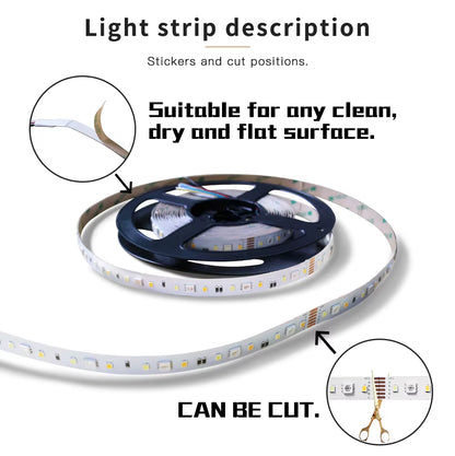 RGB+CCT LED Strip Light RGB WW/CW DC24V 5 Meters IP65 Waterproof IP20 Not Waterproof RGB Light SMD 5050 SMD 2835