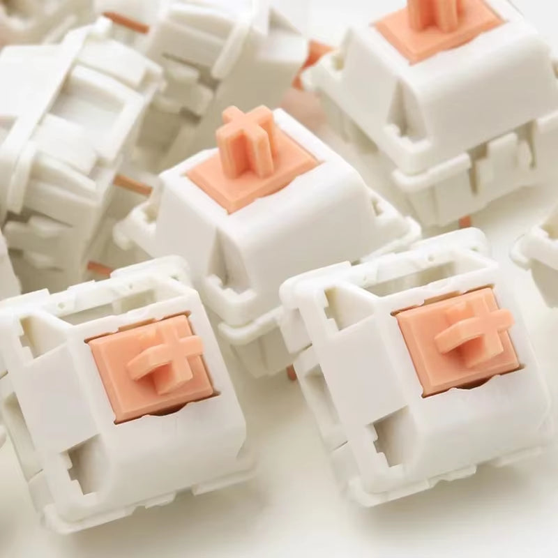 Holy Panda V2 Tactile Keyboard Switch 5 Pins 55G 62G 67G PC POM Nylon Factory Lubed Mechanical Keyboard Custom Switches Hot Plug