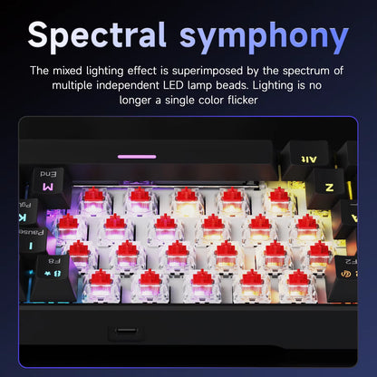 NK61 Mechanical Wired Gaming Keyboard RGB Lighting Effects Supports Hot-Swappable 61 Keys Mechanical Gaming Keyboard