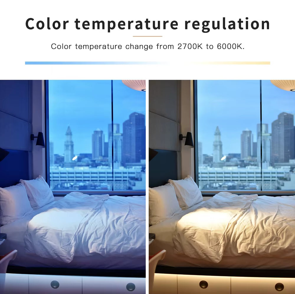 RGB+CCT LED Strip Light RGB WW/CW DC24V 5 Meters IP65 Waterproof IP20 Not Waterproof RGB Light SMD 5050 SMD 2835