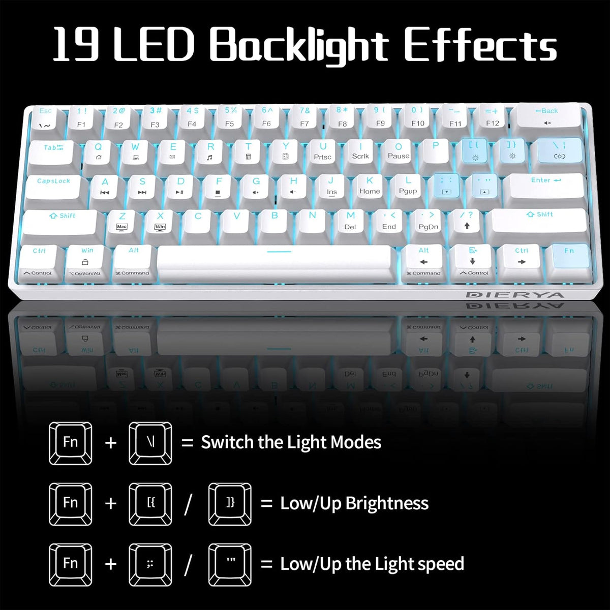 DK61SE 60% Gaming Keyboard, Wired, US QWERTY, Red Switches, White